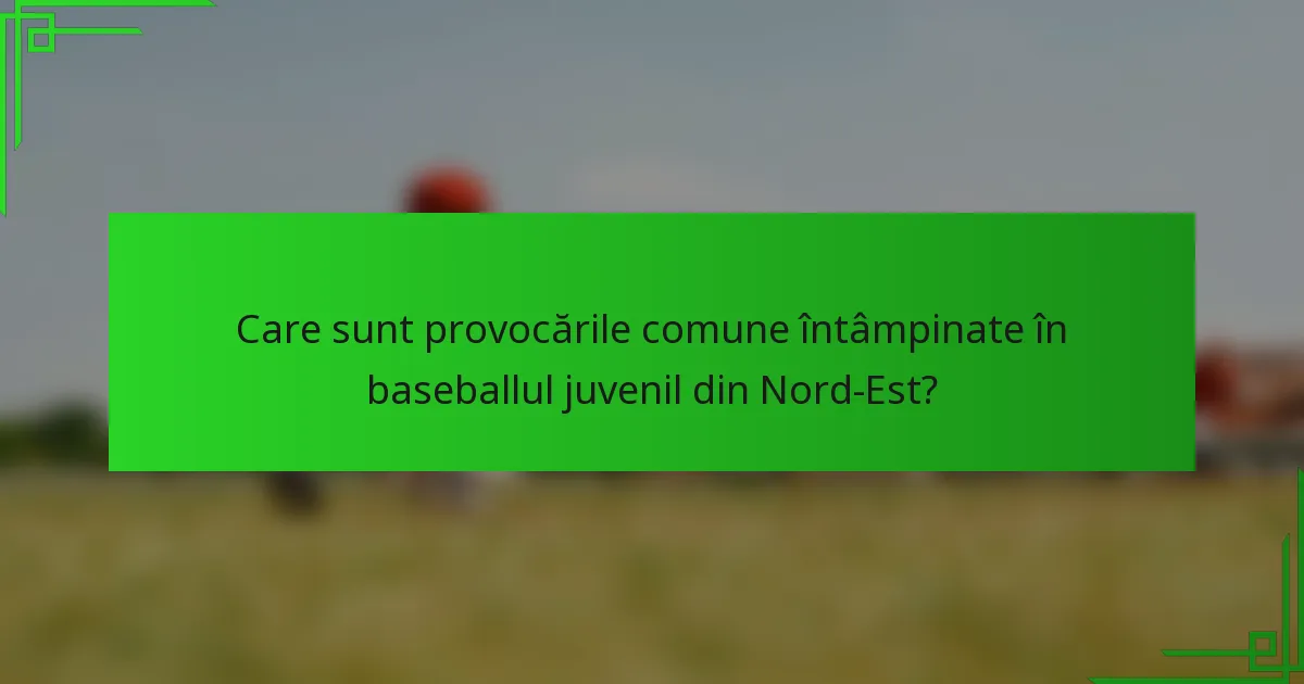 Care sunt provocările comune întâmpinate în baseballul juvenil din Nord-Est?