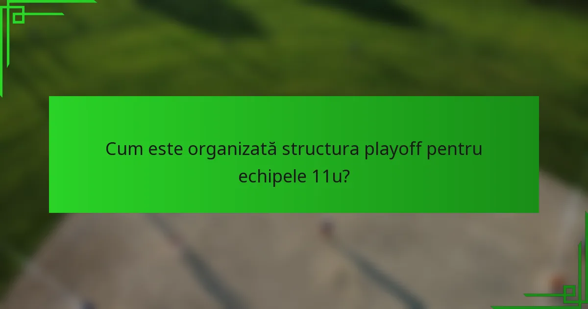 Cum este organizată structura playoff pentru echipele 11u?